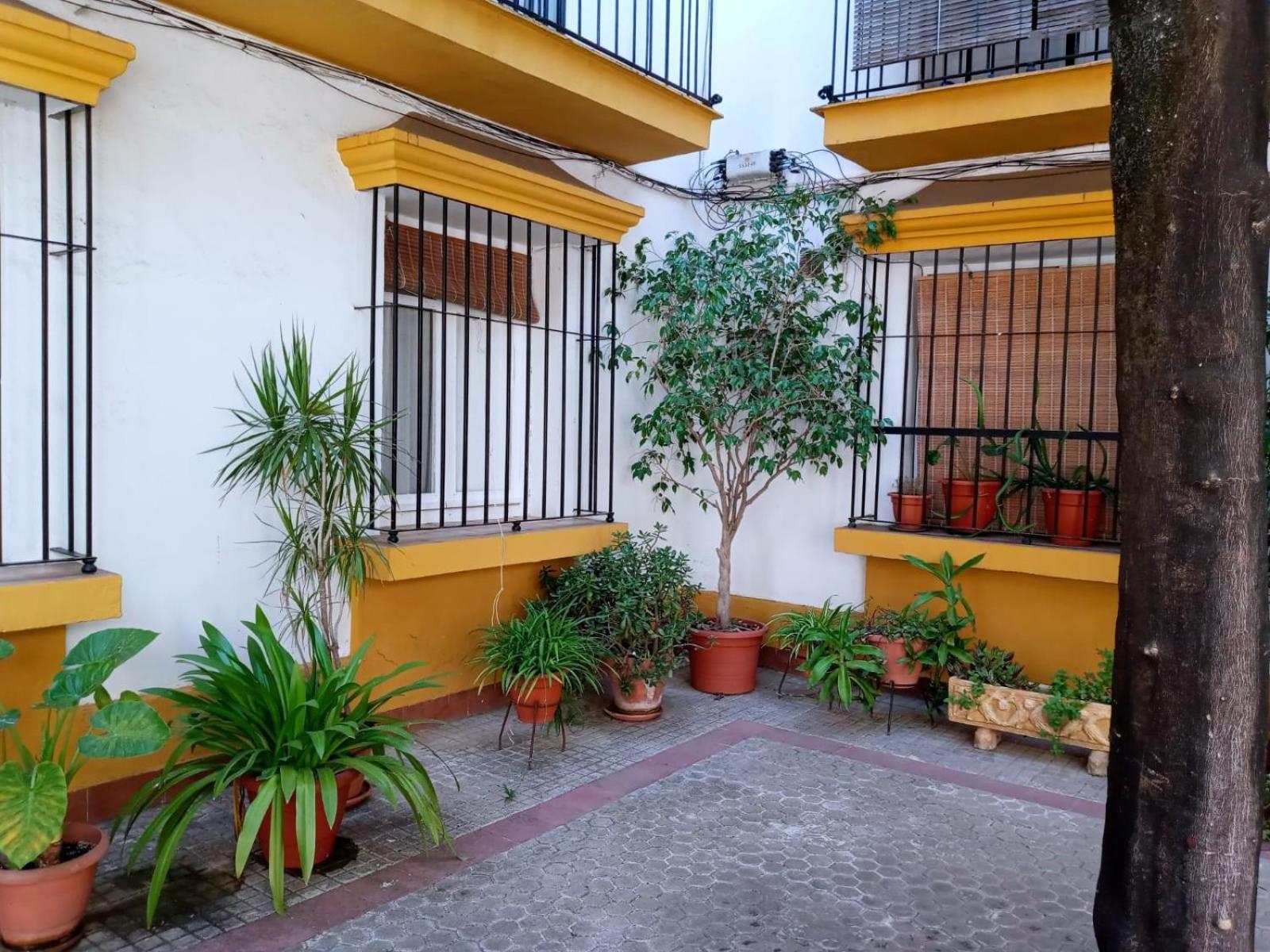 Roberta'S Guest House 塞维利亚 外观 照片