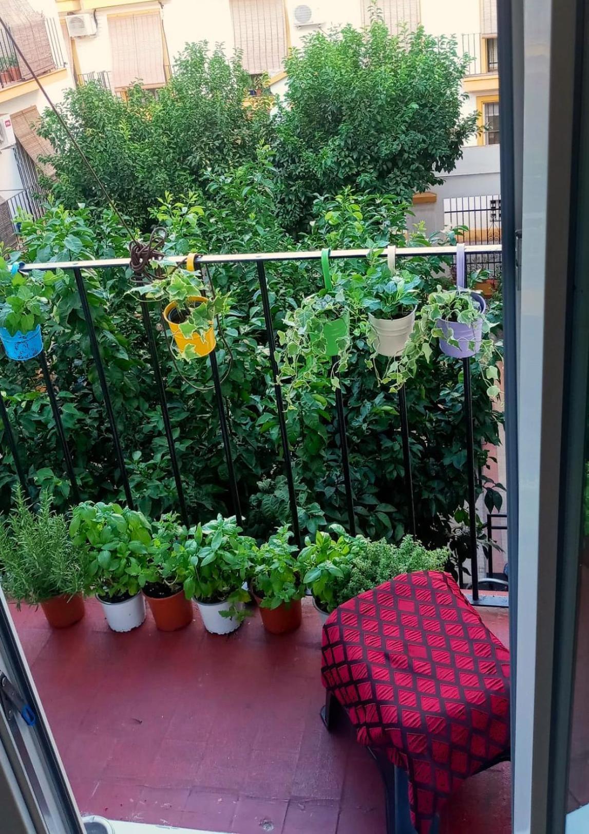 Roberta'S Guest House 塞维利亚 外观 照片